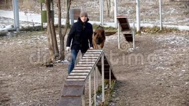 户外狗训练场-一只受过训练的德国牧羊犬在看台上下奔跑